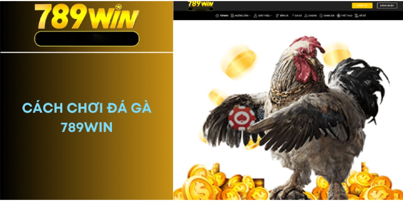 Cách Tham Gia Đá Gà Trực Tuyến Tại 789WIN